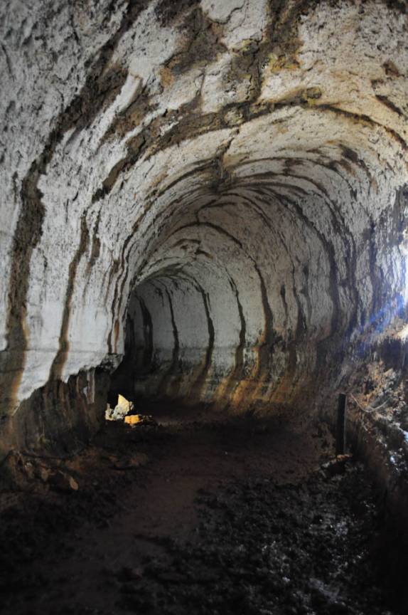 Túnel feito pela lava na Ilha de Santa Cruz, em Galápagos